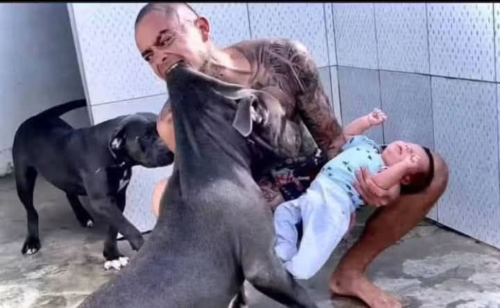 🛑 BREAKING NEWS: Pitbull Dog Attacks Owner’s Son — Community in Shock After Horrific Incident 😨🐶