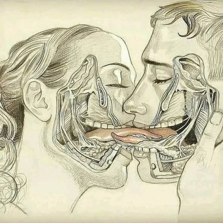 👅💋 WHAT HAPPENS WHEN WE TONGUE KISS? The Science & Sensations Behind the Kiss 😲❤️
